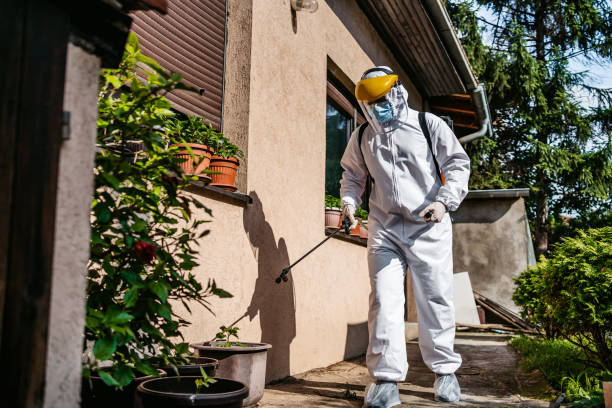 Best Pest Prevention Services  in Lorenz Park, NY