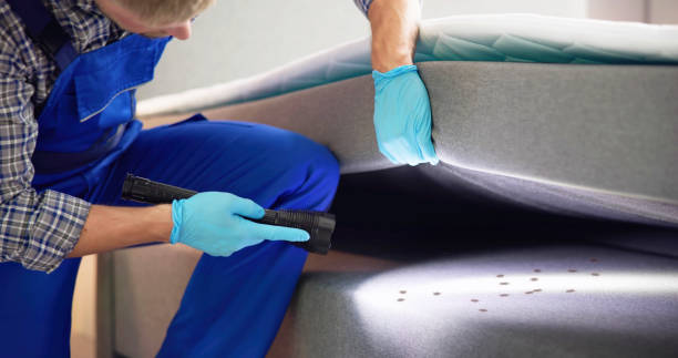 Best Exterminator Services  in Lorenz Park, NY