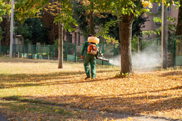 Flea Control Services in Lorenz Park, NY